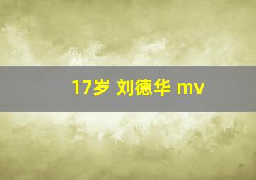 17岁 刘德华 mv